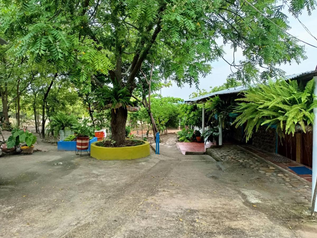 Hostal Sol De Verano Dona Lilia Villavieja Luaran gambar
